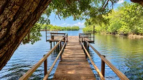Wild Ele 243 Wilpattu - Image 2