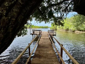 Wild Ele 243 Wilpattu - Image 2