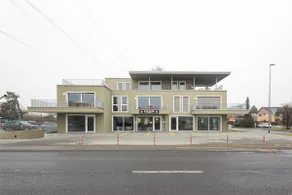 Premium | Modern | Park | Wash | Cook | 15' City - Image 5