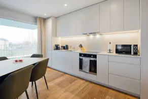 Premium | Modern | Park | Wash | Cook | 15' City - Image 2