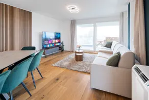 Premium | Modern | Park | Wash | Cook | 15' City - Image 4