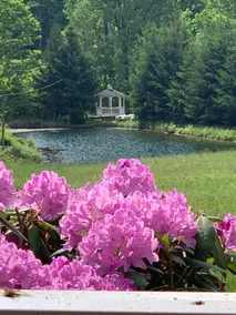 Wolf Hollow Farm - Image 2