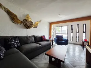 Casa 4 colibríes - Image 5