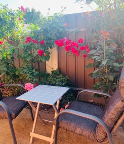 Private Semi-Detached Space Near Tea Tree Plaza ! - Image 5