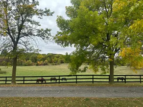 Modern Estate Private Studio - Image 3