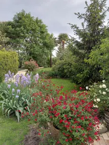 Sophie's home - Image 3