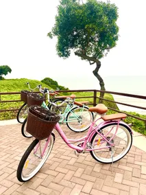 Ocean View King Suite 19th Flr~Free Bikes&Parking - Image 4