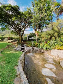 Villa Oasis Garden, Lake Calima - Image 4