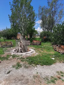 Nirok - Image 4