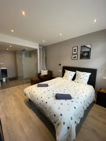Le Petit Brooklyn, 2 Suites & 2 Private Bathrooms - Image 3