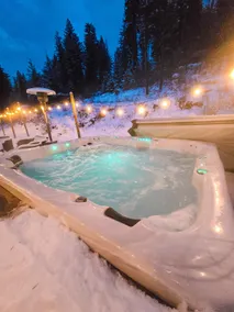 Alpacas + Lake View + Hot Tub Near Silverwood - Image 5
