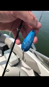 358 @ the Lake - Image 3