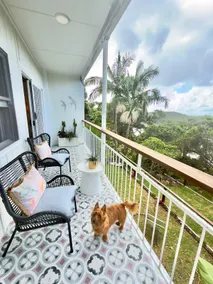 Sand | Opposite Shaws Bay | Pet-Friendly - Image 2