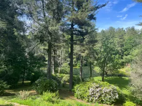 Private Mountain Retreat | Twin Lakes | 20 Acres - Image 3
