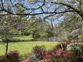 Private Mountain Retreat | Twin Lakes | 20 Acres - Image 4