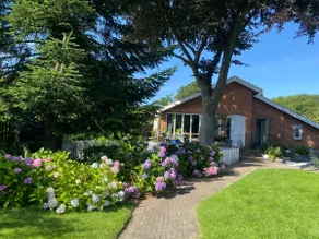 A gorgeous, popular oasis, close to the citycenter - Image 3