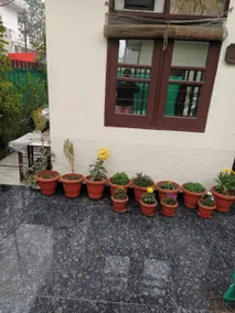 3 bhk House with breakfast - Image 3