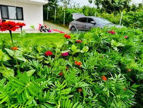House with a private garden in Telsiztepe Mansion - Image 3