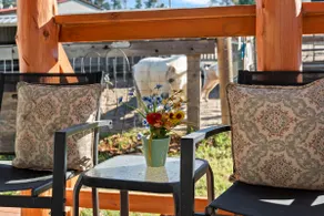 Rosie's Ranch Retreat - Image 2