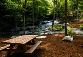 Log Cabin w/ Lake Beach, Hot Tub & Trails - Image 5