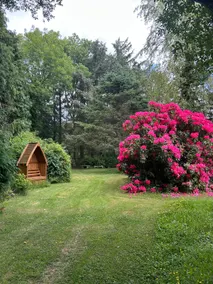 Longhouse Lodge - Idyllic/Private/Beautiful Views - Image 5