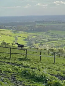 On top of the wolds - Image 4
