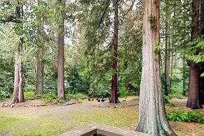 Serene 4BR - Deck - Firepit - Washer Dryer - Image 5