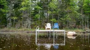 Water Lily, Acadia Gem - Image 5