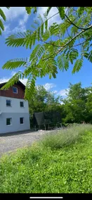 Ginkgo House - Image 2