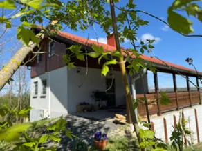 Ginkgo House - Image 5