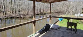 the Pelicans Roost - Image 4