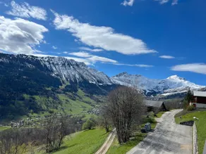 La Montagnarde avec vue imprenable - station Doucy Valmorel - 4pers - Image 3