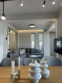 Luxury Villa Asana - Image 2