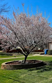Urban Farmer House - Image 4