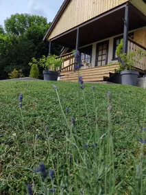 Au Petit Coton Cozy cottage - Image 2