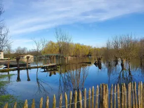 Le Frêne Guest House: Jacuzzi, boat, air-conditioned - Image 5