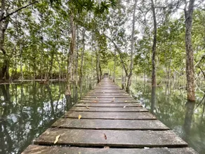 Cabin in Bahía Solano - Rincón del Alma - Image 4