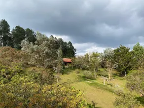 La Gloria Cabin in the Santa Elena Mountains - Image 5