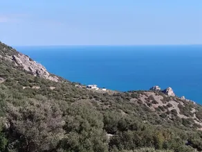 Close to paradise - Image 2