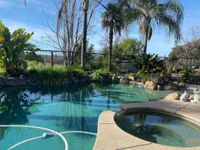 Tropical Paradise Luxury pool/spa backyard 5 beds - Image 3