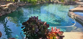 Tropical Paradise Luxury pool/spa backyard 5 beds - Image 2