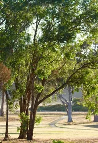 Sunlit house with garden - Image 4