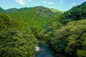 Private Riverside Tatami Home · Slow Living - Image 5