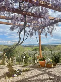 Lakeview farmhouse - Starlink - Stunning Views - Image 5