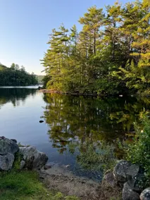 Lake Access | Prime Location | Designer Cabin - Image 4