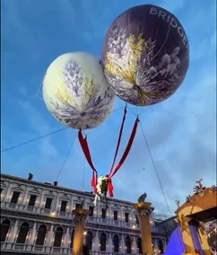 Oliver - Image 2