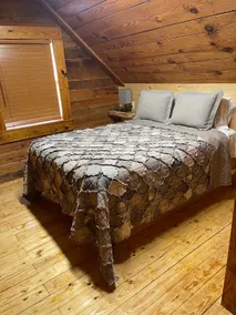 Lookout Mountain Cabin - Image 3