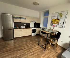 Pilsen center within reach 7 (2 beds + 1 extra bed) - Image 3