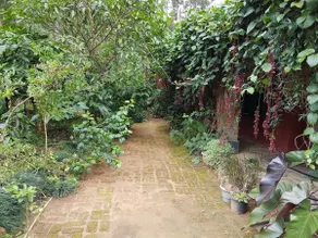 Mitano, Coorg. Coffee . Pepper . Homestay. 3 BHK - Image 5
