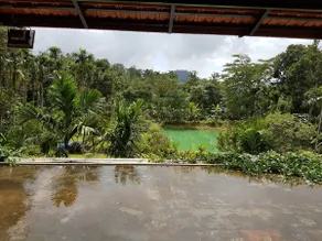 Mitano, Coorg. Coffee . Pepper . Homestay. 3 BHK - Image 2